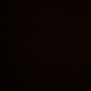 Meet your Posher, Ayla